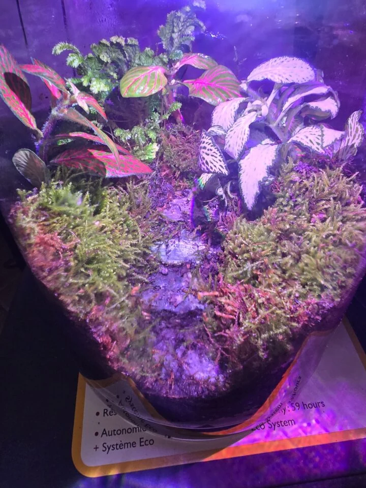 Terrario Evoluto 4L Automazioni, immagine 1